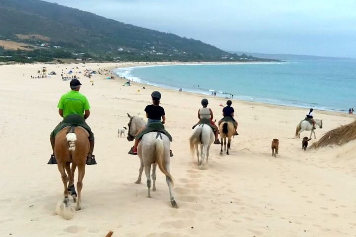 ruta equestre 