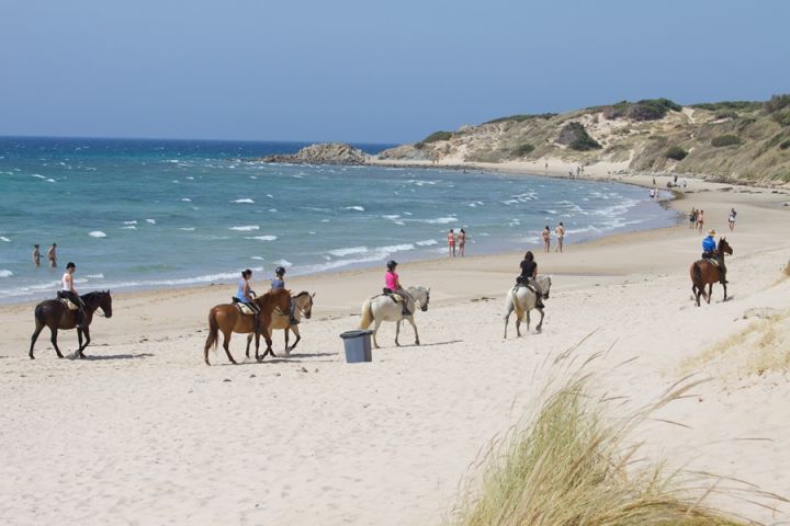 ruta ecuestre 