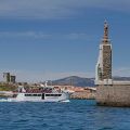 avistamiento cetaceos 