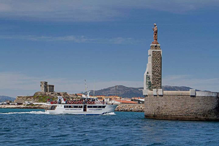 avistamiento cetaceos 