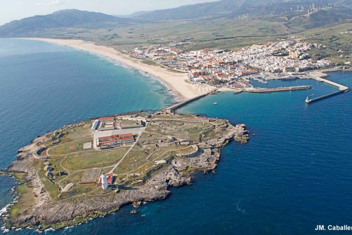 avistamiento cetaceos 