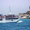 avistamiento cetaceos 