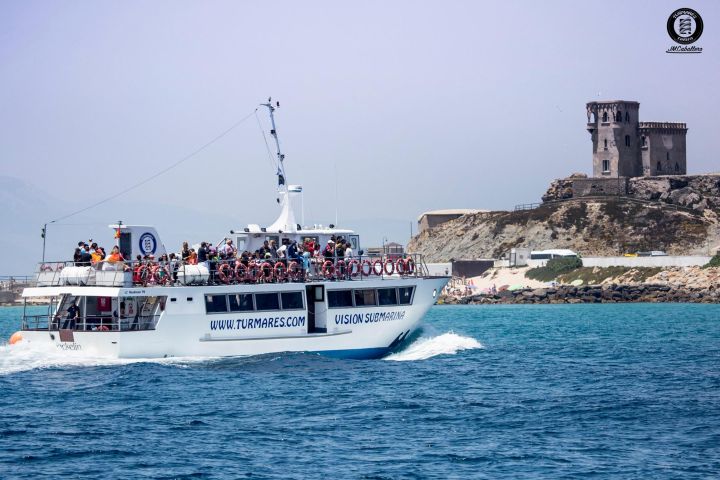 avistamiento cetaceos 