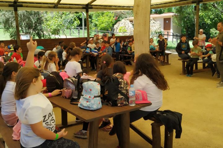 viajes fin de curso 