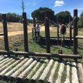 circuito americano 