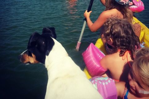 kayak - Multiaventura Paloma