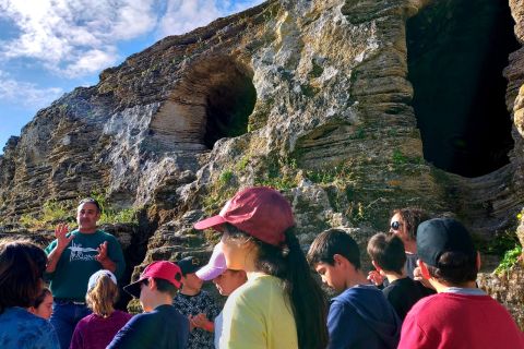 NECRÓPOLIS DE LOS ALGARBES - Multiaventura Paloma