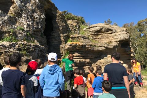 NECRÓPOLIS DE LOS ALGARBES - Multiaventura Paloma