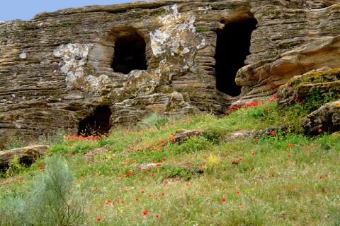 NECRÓPOLIS DE LOS ALGARBES - Multiaventura Paloma