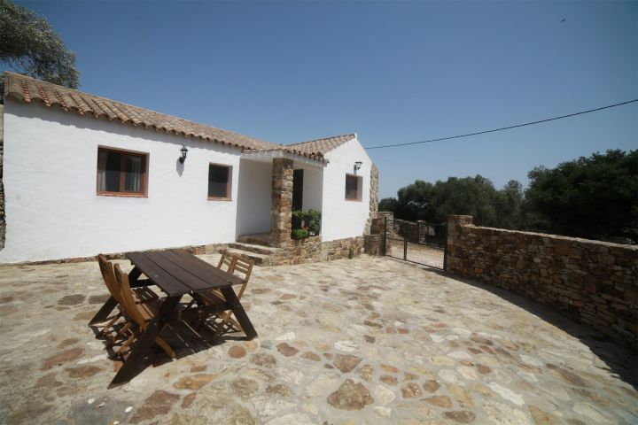 Alojamiento Casa Alamo Bolonia JPG 