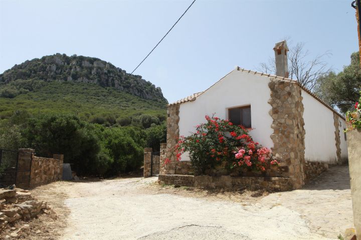 Alojamiento Casa Alamo Bolonia JPG 