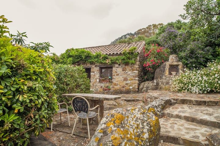 Alojamiento Apartamento Bolonia 
