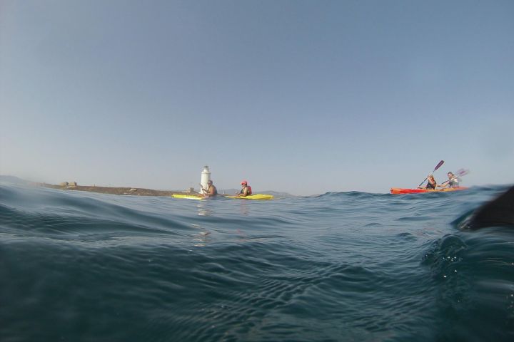 kayak 