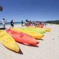 kayak 