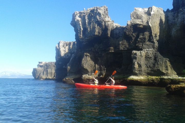 kayak 