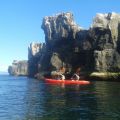 kayak 
