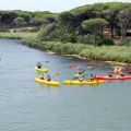 kayak 