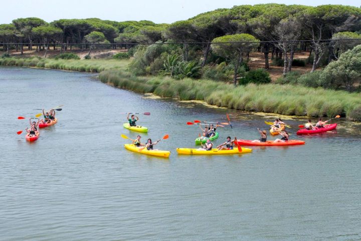 kayak 