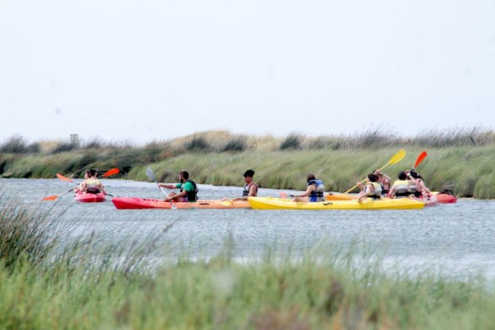 kayak 