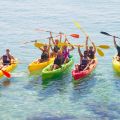 kayak 